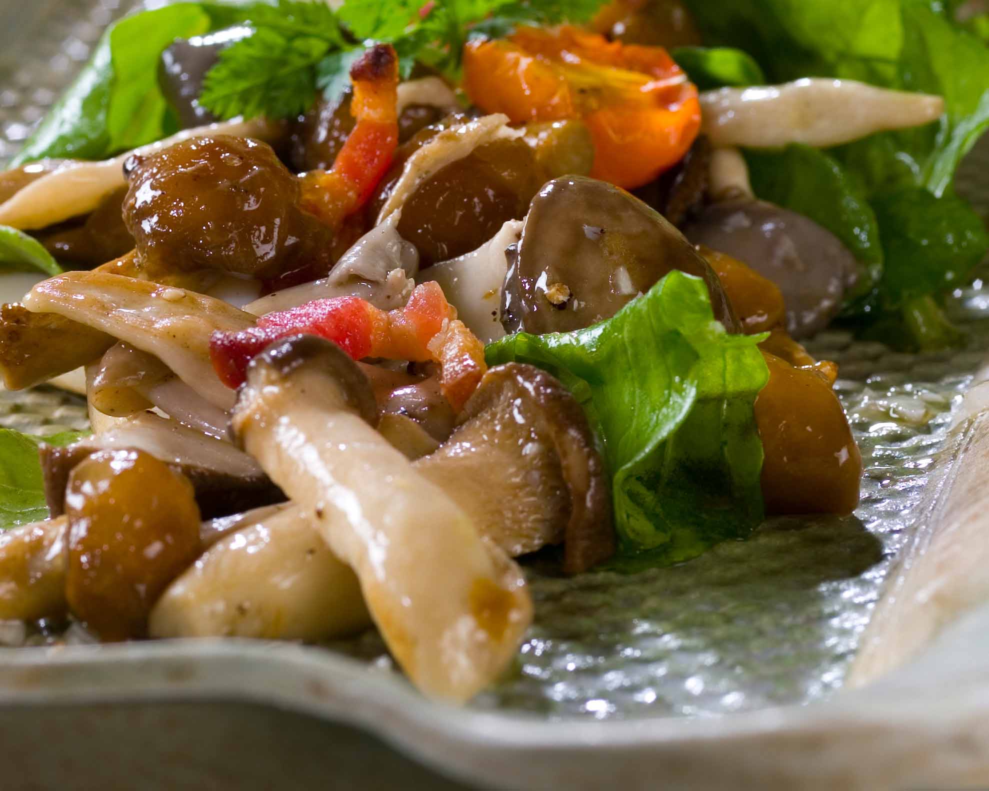 Рецепт салата с опятами и курицей. Грибной салат из опят. Салат с грибами опятами. Теплый салат с курицей и грибами. Салат с солеными опятами.
