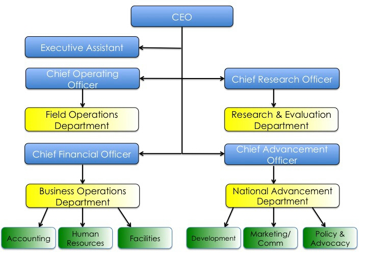 ceo accounting department organizational chart